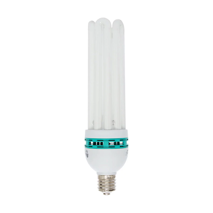 Compact Flourescent Bulb | 125W | 6500K