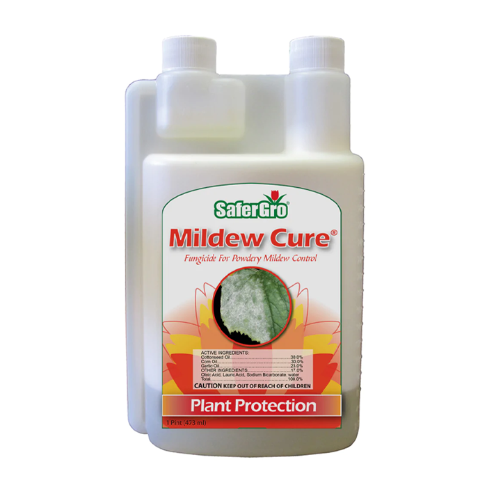 Mildew Cure | 1qt